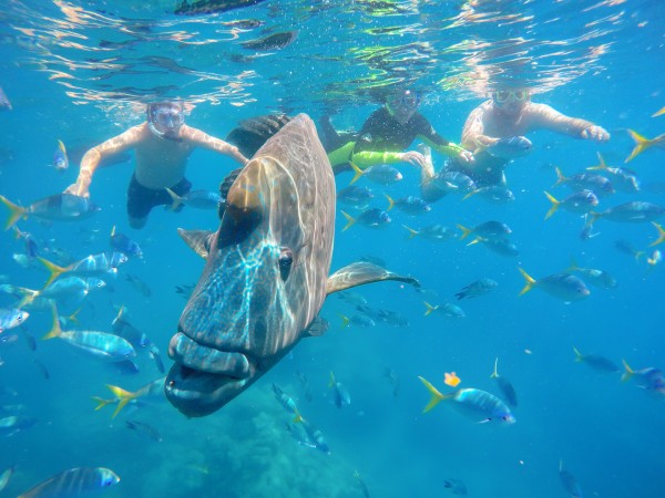 Marsa Alam