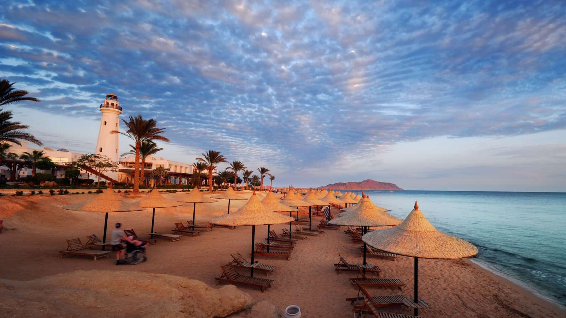 A trip around Egypt included Bahariya Oasis